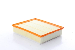 Air Filter (BSG 90-135-039)