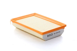 Air Filter (BSG 25-135-018)