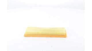 Air Filter (BSG 15-135-022)