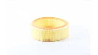 Air Filter (BSG 75-135-006)