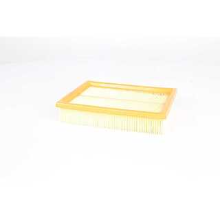 Air Filter (BSG 70-135-020)