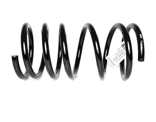 Suspension Spring (BSG 30-305-004)