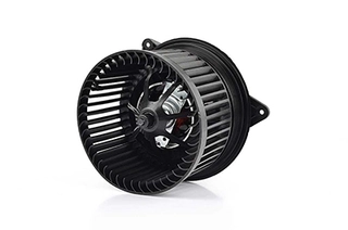 Interior Blower (BSG 30-845-005)