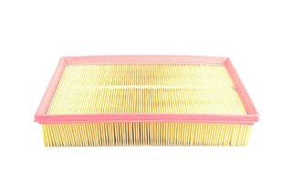 Air Filter (BSG 90-135-010)