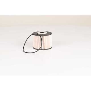 Fuel Filter (BSG 30-130-016)