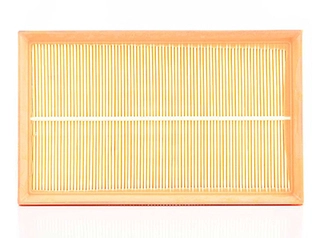 Air Filter (BSG 60-135-011)