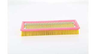 Air Filter (BSG 60-135-039)