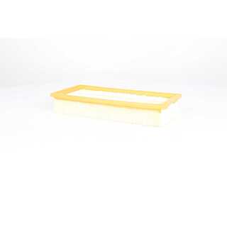 Air Filter (BSG 70-135-017)