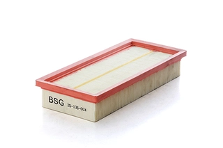 Air Filter (BSG 25-135-024)