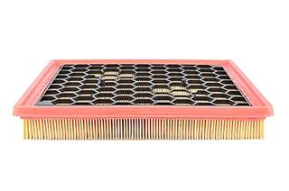 Air Filter (BSG 65-135-018)