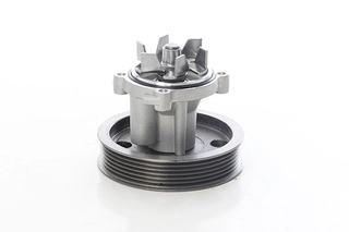 Water Pump, engine cooling (BSG 65-500-015)
