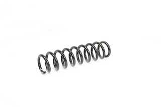 Suspension Spring (BSG 15-305-006)