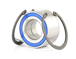 Wheel Bearing Kit (BSG 65-605-007)