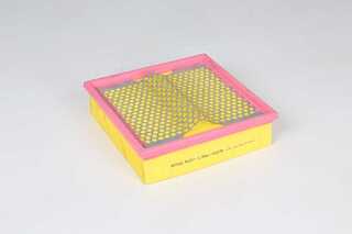 Air Filter (BSG 60-135-025)