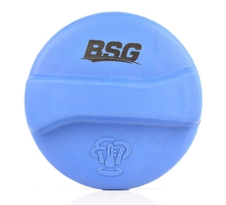 Cap, coolant tank (BSG 90-551-001)