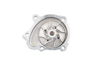 Water Pump, engine cooling (BSG 65-500-011)