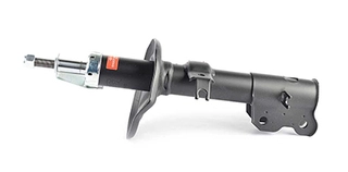 Shock Absorber (BSG 16-300-005)