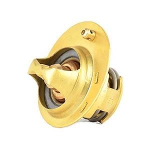 Thermostat, coolant (BSG 30-125-017)