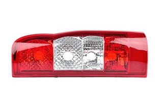 Tail Light Assembly (BSG 30-805-009)