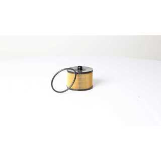 Fuel Filter (BSG 30-130-018)