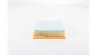 Air Filter (BSG 30-135-030)