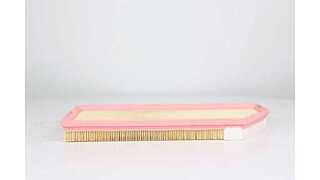 Air Filter (BSG 60-135-026)