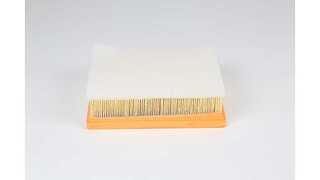 Air Filter (BSG 15-135-017)
