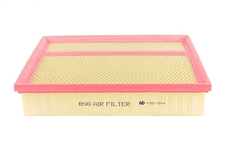 Air Filter (BSG 60-135-014)
