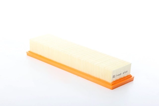 Air Filter (BSG 70-135-033)