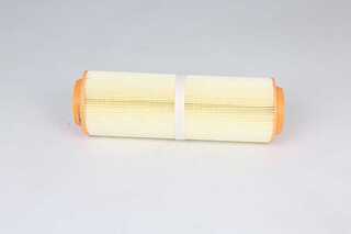Air Filter (BSG 60-135-033)