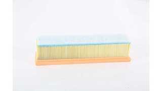 Air Filter (BSG 60-135-024)