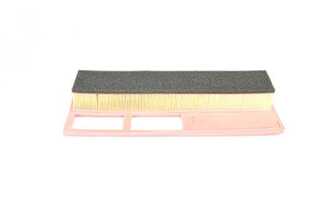 Air Filter (BSG 25-135-003)