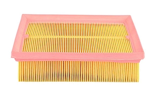 Air Filter (BSG 65-135-006)