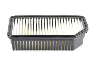 Air Filter (BSG 40-135-016)