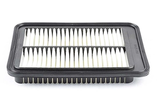 Air Filter (BSG 40-135-018)