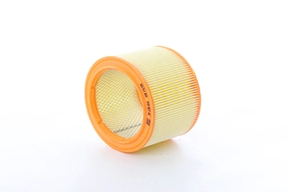 Air Filter (BSG 70-135-014)