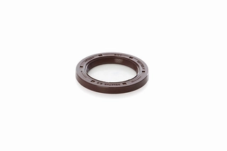 Shaft Seal, crankshaft (BSG 30-116-119)