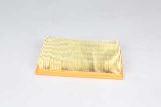 Air Filter (BSG 30-135-029)
