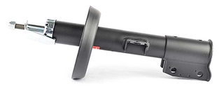 Shock Absorber (BSG 65-300-001)
