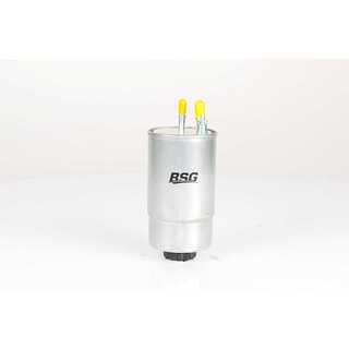Fuel Filter (BSG 25-130-003)