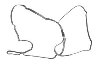 Gasket, cylinder head cover (BSG 30-116-111)