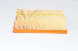Air Filter (BSG 90-135-020)