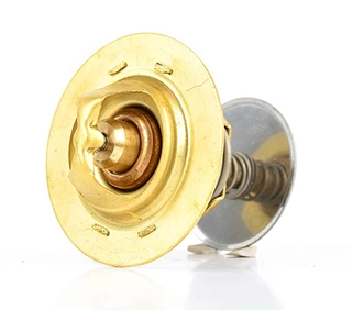 Thermostat, coolant (BSG 30-125-004)