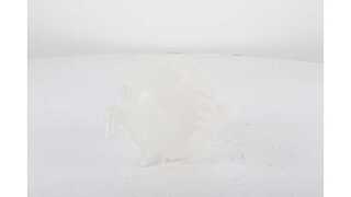 Expansion Tank, coolant (BSG 60-551-002)