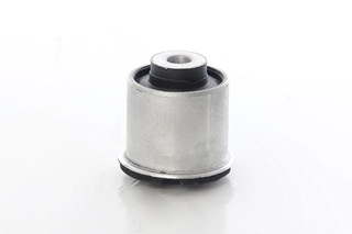 Mounting, control/trailing arm (BSG 60-700-250)