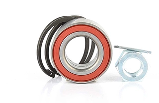Wheel Bearing Kit (BSG 16-605-001)