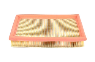 Air Filter (BSG 65-135-005)