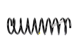 Suspension Spring (BSG 30-305-018)