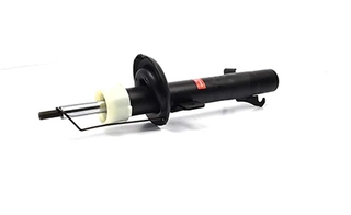 Shock Absorber (BSG 30-300-027)