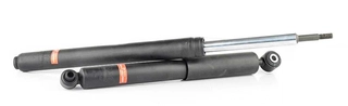 Shock Absorber (BSG 70-300-022)